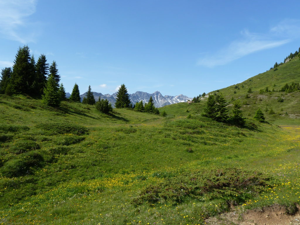 Alpenlandschaft (2011)